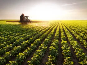 Quantidade Ideal de Roundup para 5 Litros de Água