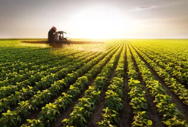 Quantidade Ideal de Roundup para 5 Litros de Água