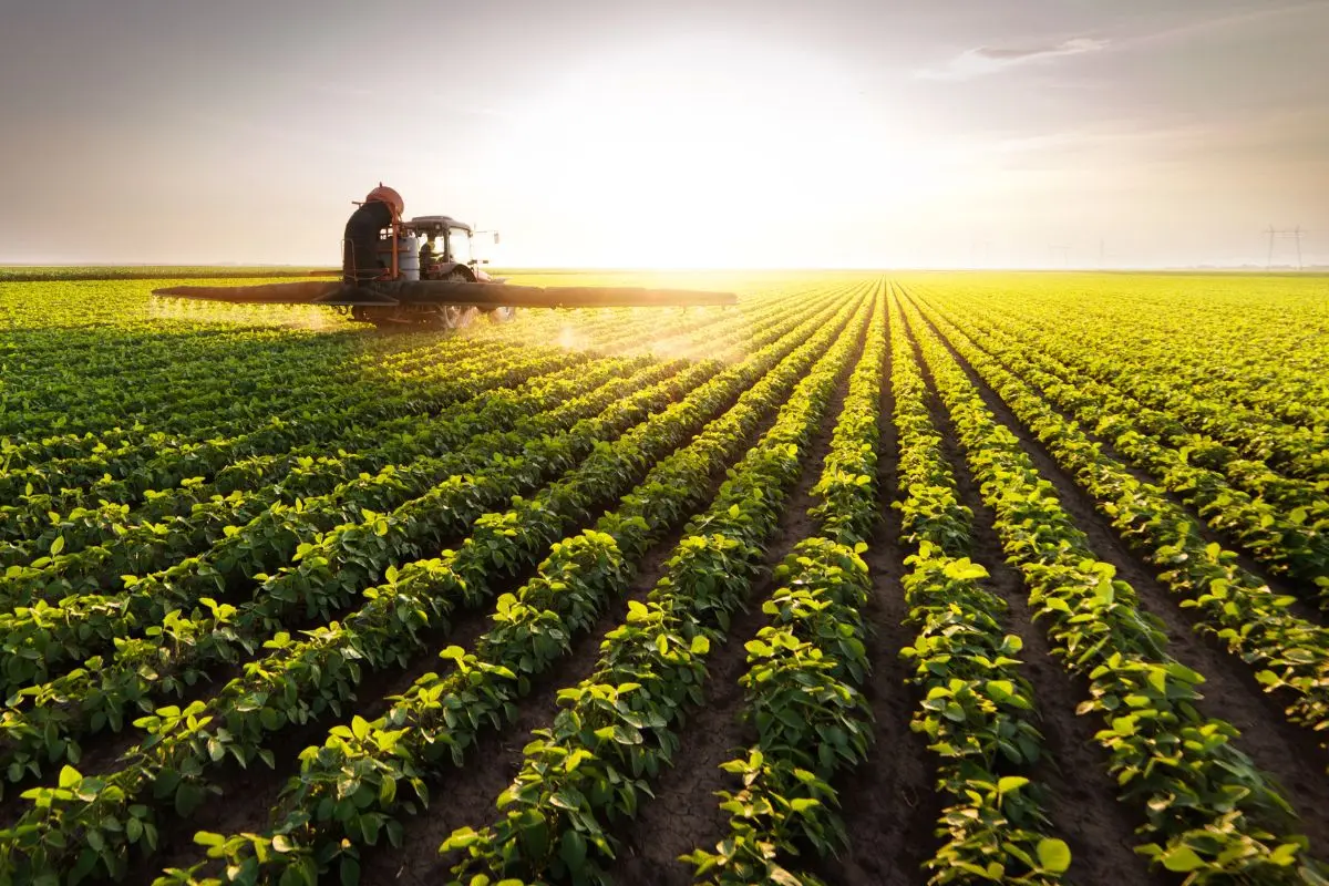 Quantidade Ideal de Roundup para 5 Litros de Água