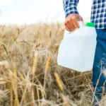 Para que serve o inseticida Evidence