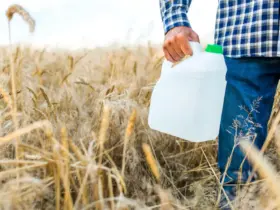 Para que serve o inseticida Evidence