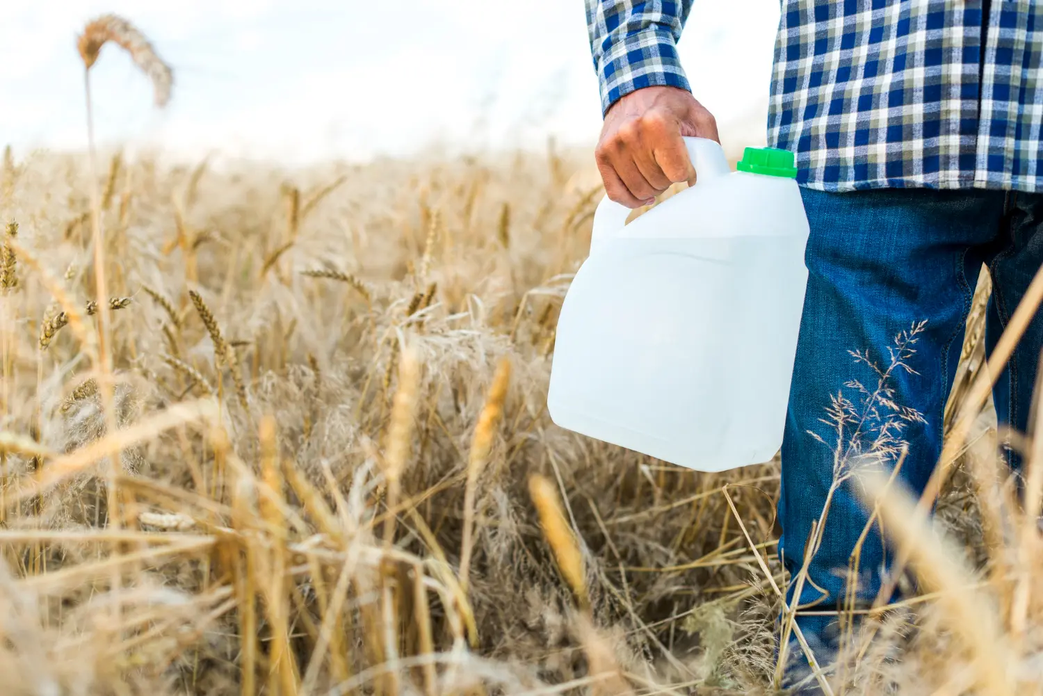 Para que serve o inseticida Evidence